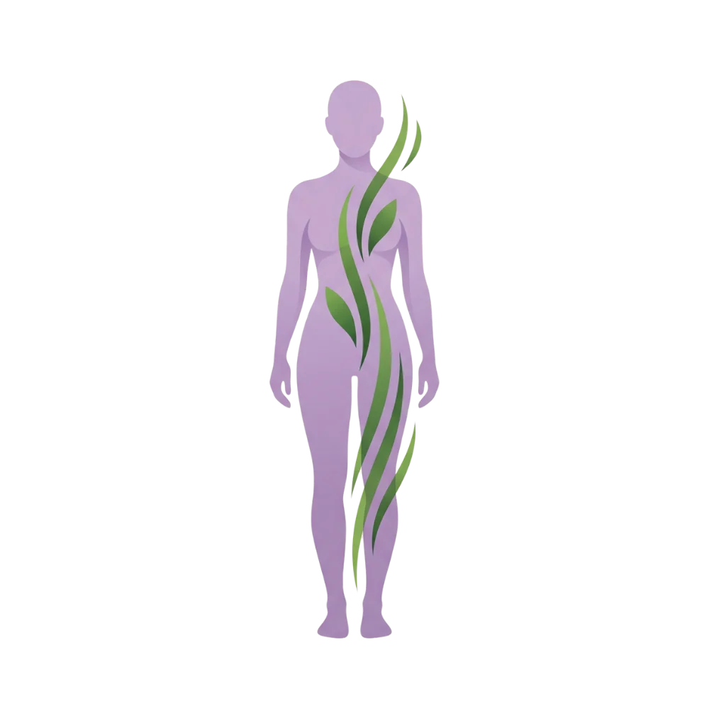 Minimalist lavender icon of a figure with perfect upright posture and green alignment lines, representing the core and posture program.